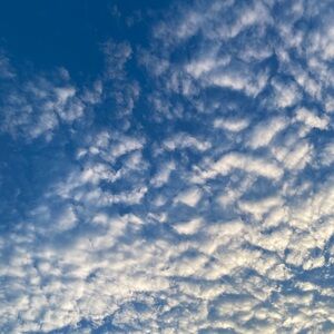 Meet your Posher, Gazala